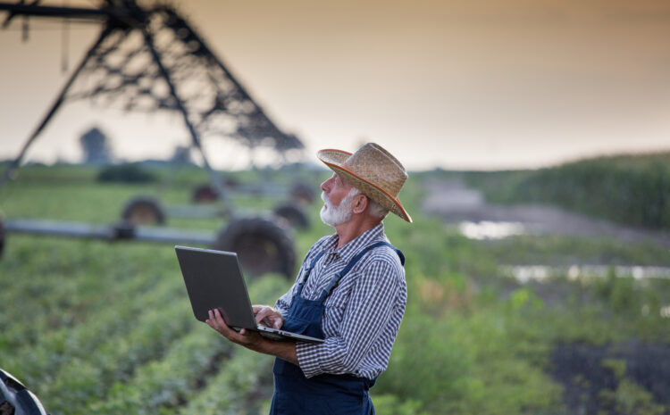  Tecnologia no agronegócio: o papel do certificado digital para o produtor rural